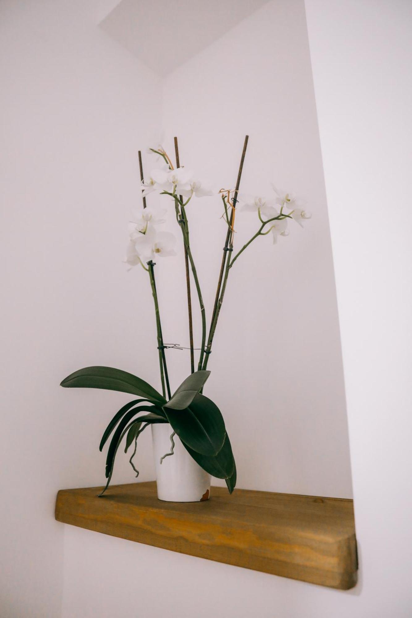 Vila Franko 培拉特 外观 照片